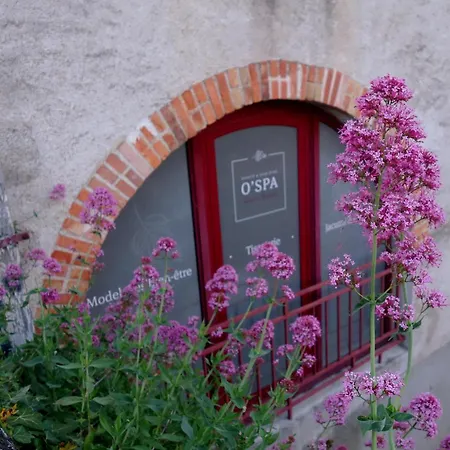 Maison Du Bleu * Saint-Hilaire-de-Clisson