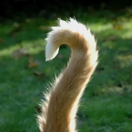 Feriehus Maison Du Bleu