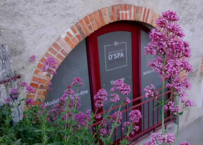 Maison Du Bleu * Saint-Hilaire-de-Clisson