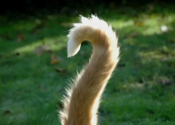 펜션 Maison Du Bleu